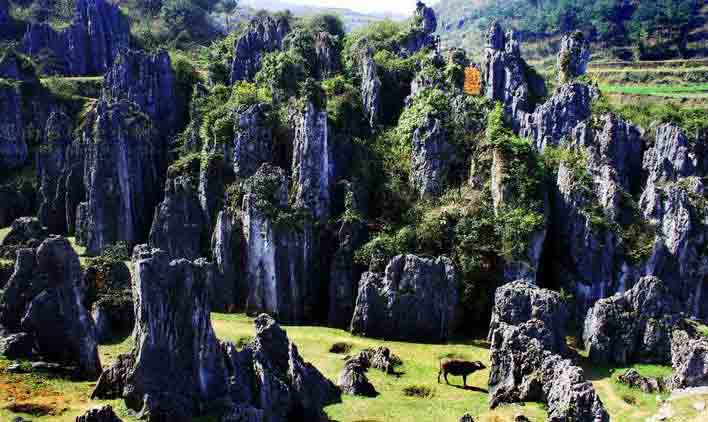 銅仁最美的10大景區(qū)：除了梵凈山之外，還有哪里值得一去？