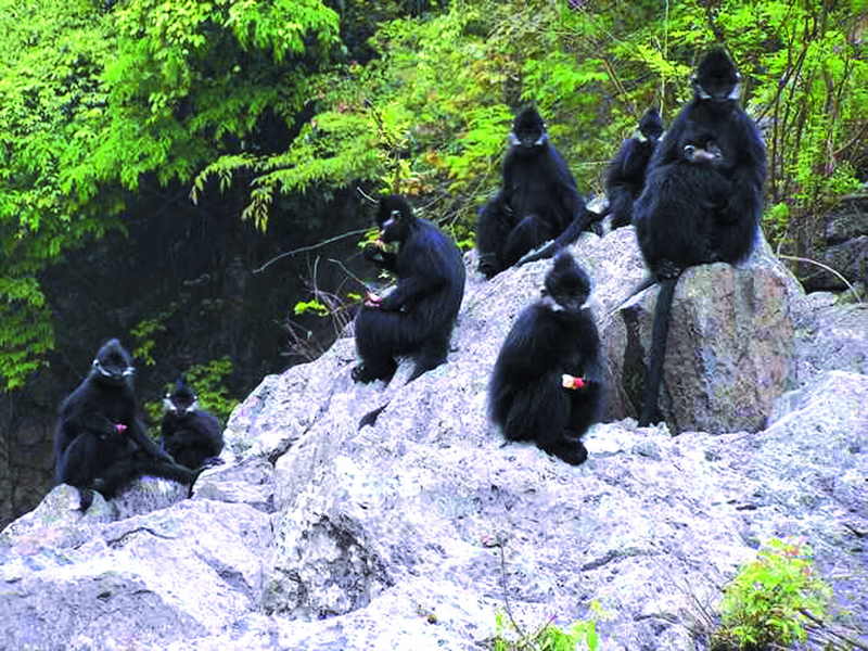 銅仁最美的10大景區(qū)：除了梵凈山之外，還有哪里值得一去？